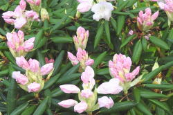 ����C���[�W